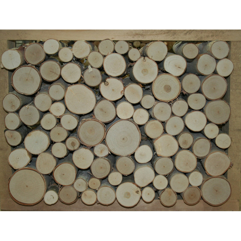 Union Rustic Birch Fill A Space Logs Wall Decor Wayfair