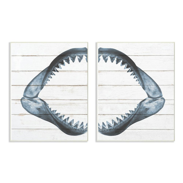 Kids Shark Decor Wayfair