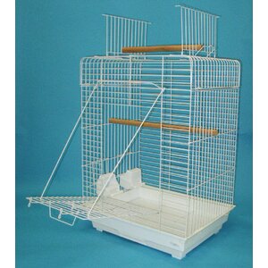 Open Play Top Small Parrot  Bird Cage