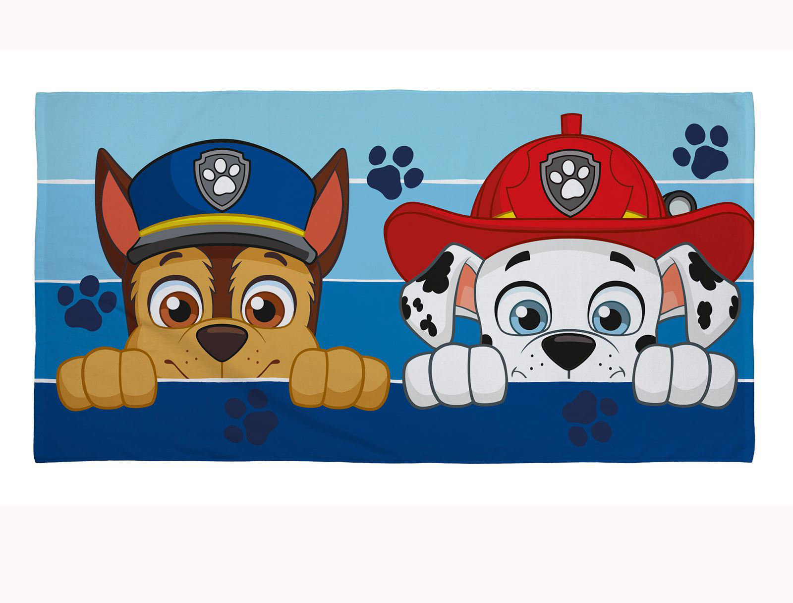 beach paw patrol