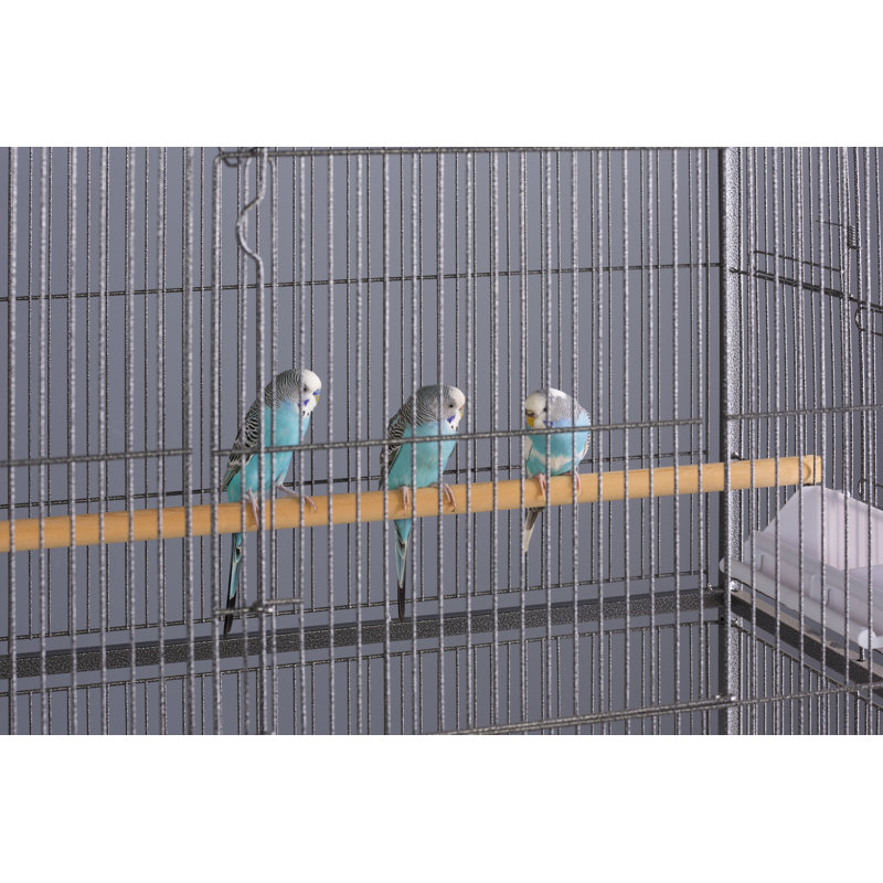 Tucker Murphy Pet Thea Flight Bird Cage With Storage Shelf
