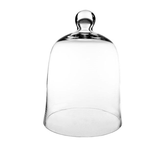 Charlton Home Rubi Dome Bell Jar Glass Terrarium Wayfair