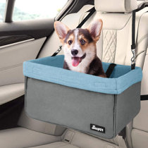 blue pet carrier
