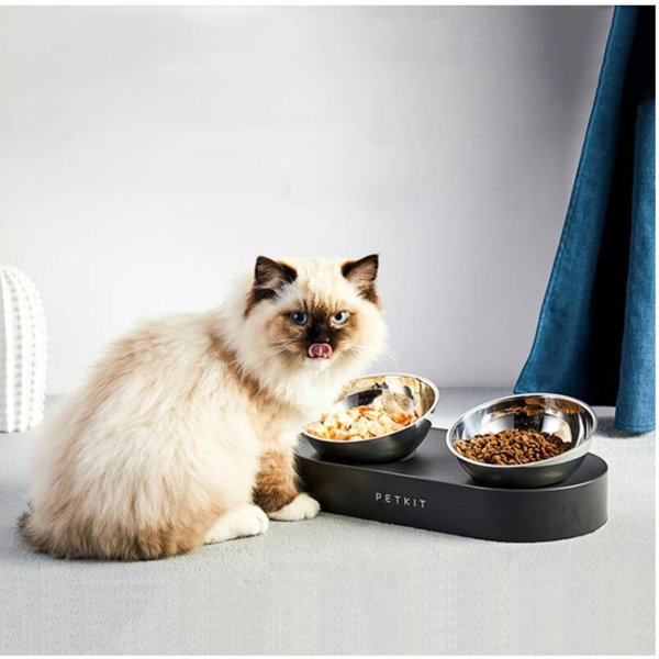 petkit cat feeder