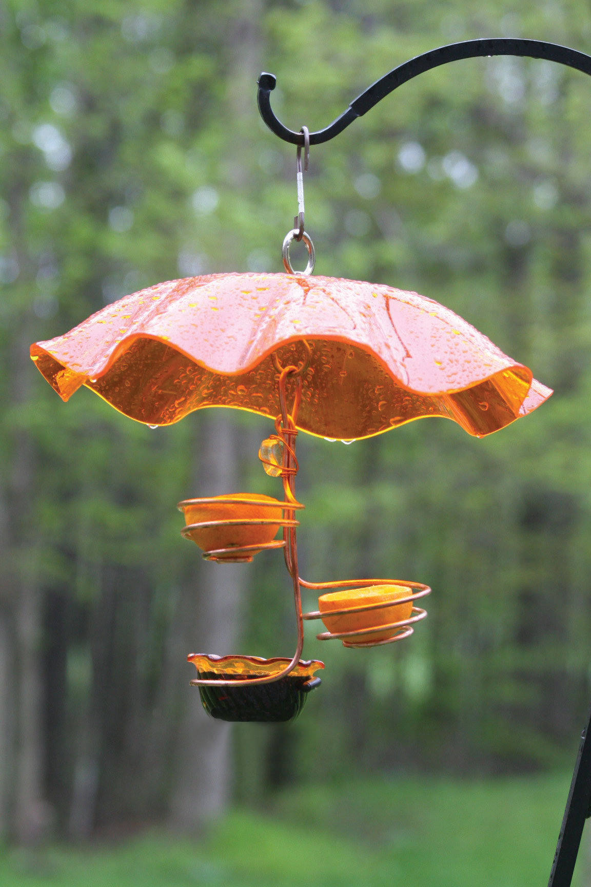 Birds Choice Single Cup Double Fruit Oriole Tray Bird Feeder Wayfair