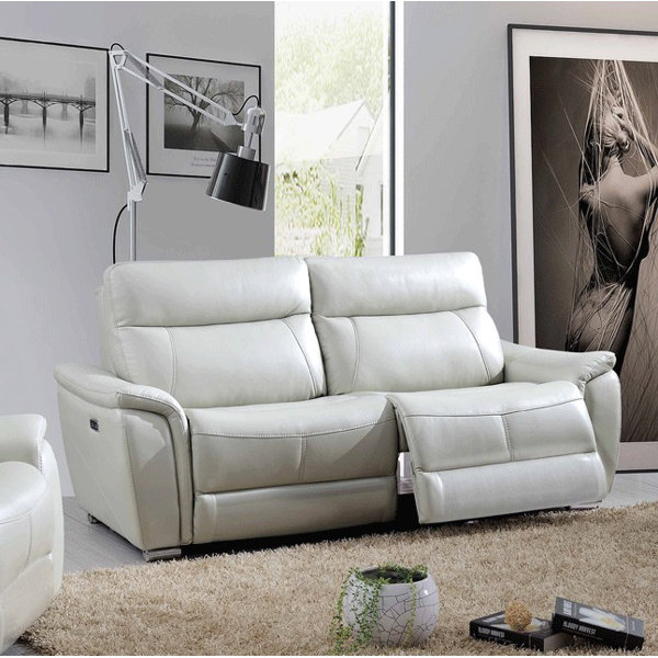 Electric Couch Wayfair