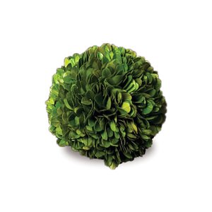 Preserved Greens Boawood Ball (Set of 4)