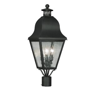 Natalie Outdoor 2-Light Lantern Head