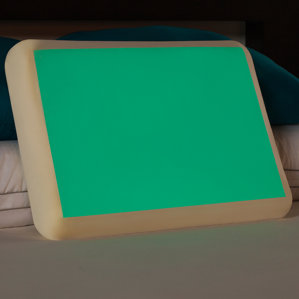 Glow in the Dark Memory Foam Gel Fiber Standard Pillow by Comfort Revolution