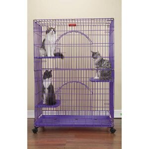 Foldable Cat Crate