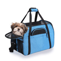 blue pet carrier