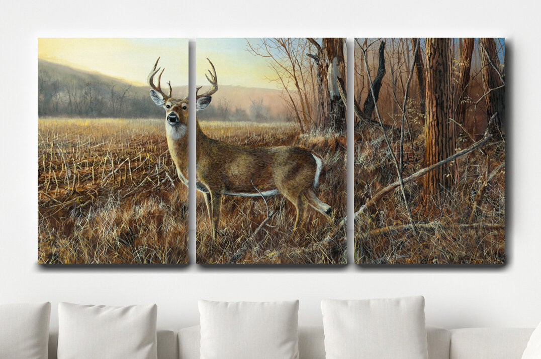 Millwood Pines Bluff Country Buck - 3 Piece Graphic Art on Canvas | Wayfair