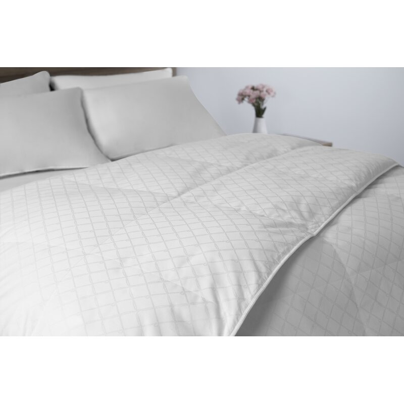 Nautica Cotton Jacquard All Season Down Comforter Reviews Wayfair