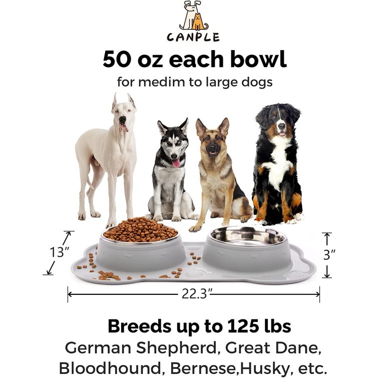 suction cup dog bowl