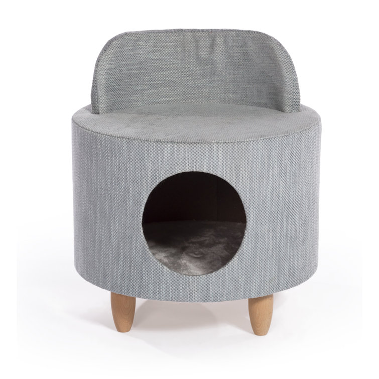 hollywood kitty condo