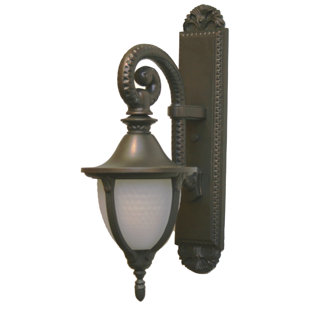 Go to store & view more images Phillipstown 1-Light Outdoor Wall Lantern by Alcott Hill