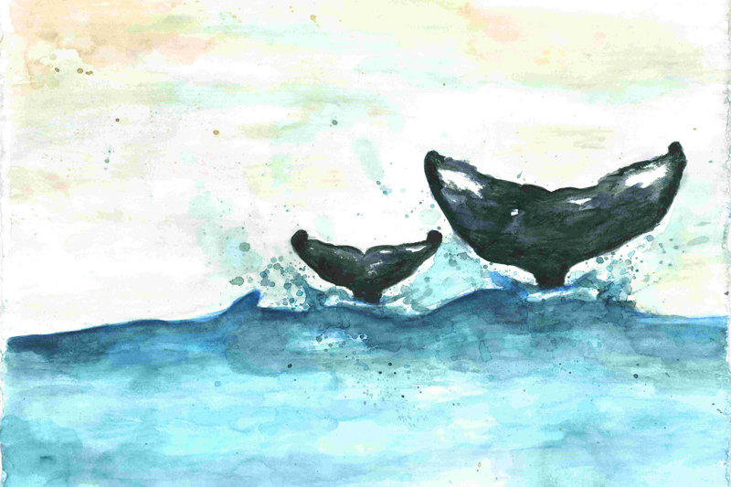 Whale Tales - Wrapped Canvas Painting Size: 24" H x 36" W