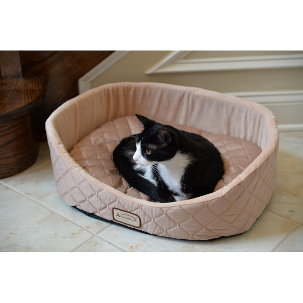 dumpling cat bed