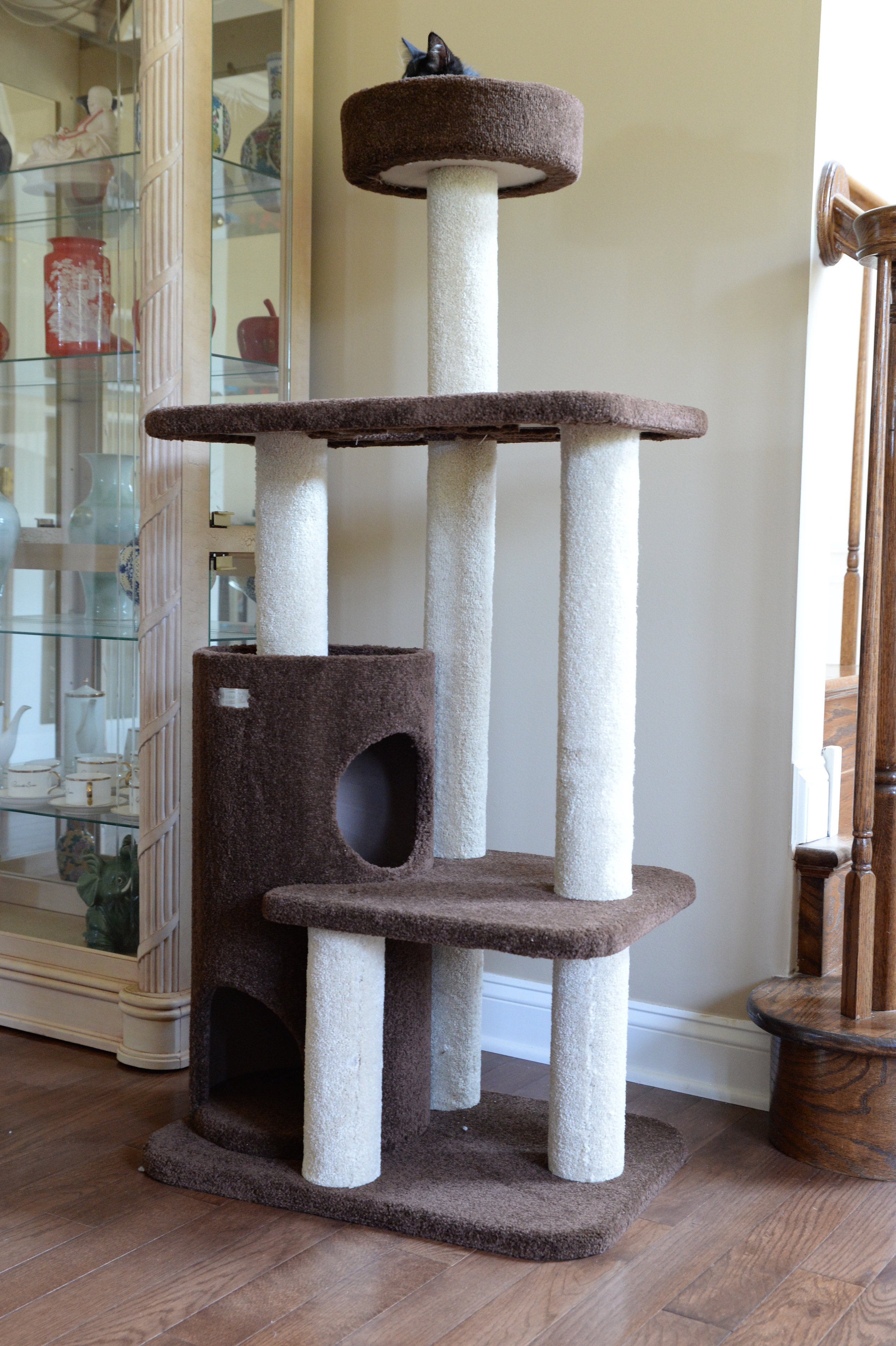 premium cat furniture