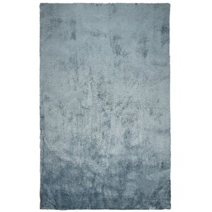 Delroy Hand-Tufted Blue Indoor Area Rug