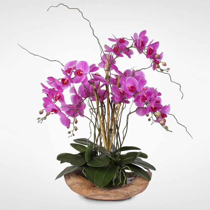 Primrue Handmade Phalaenopsis Orchids Floral Arrangement in Bowl | Wayfair