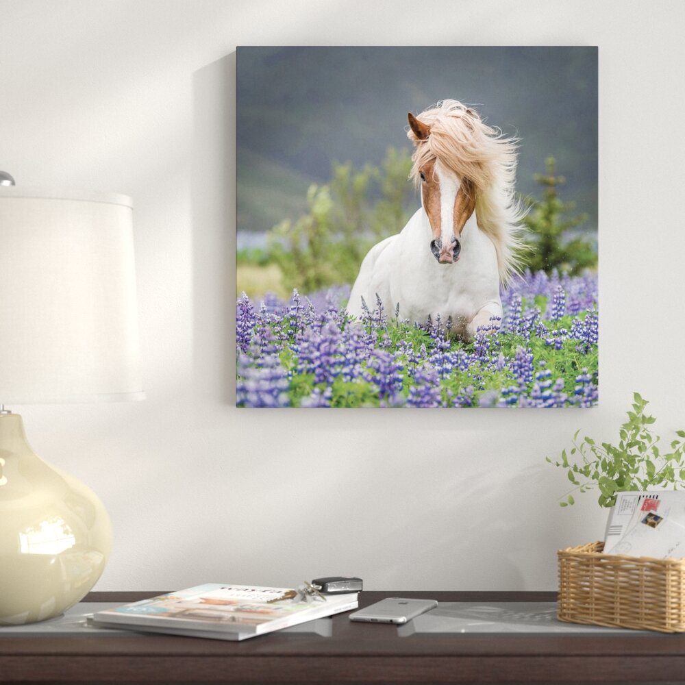 East Urban Home Trotting Icelandic Horse Ii Lupine Fields Iceland By