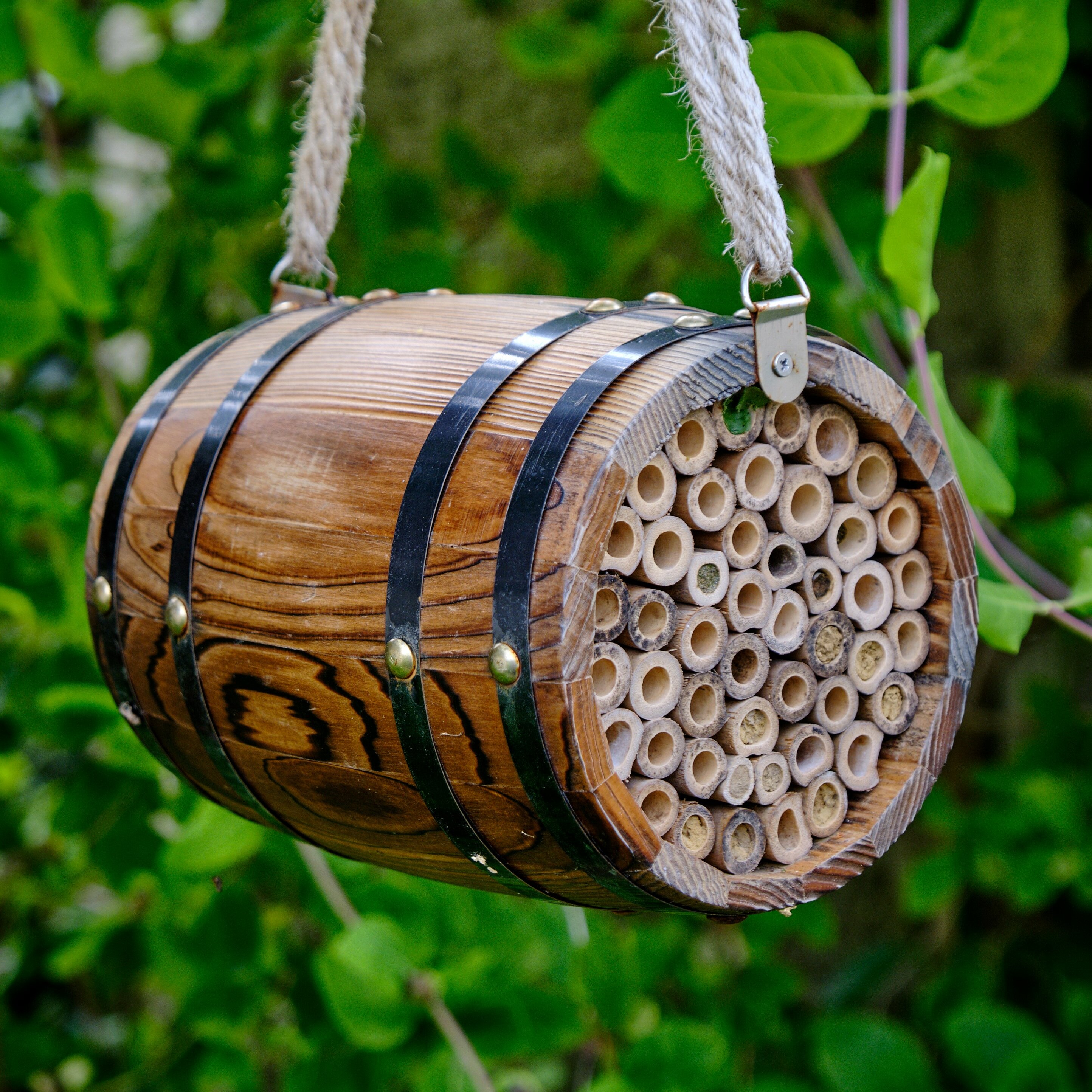 Wildlife World Solitary Bee Hive 