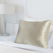 wayfair silk pillowcase