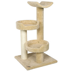 buckingham palace cat tree