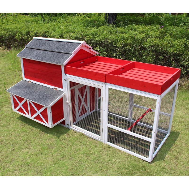 Tucker Murphy Pet Hopwood Barn Chicken Coop With Roof Top Planter