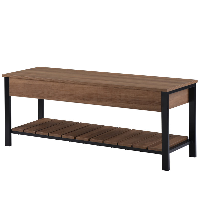 Gracie Oaks Faisal Flip Top And Shoe Storage Bench Wayfair,Images Of Squirtle Evolution