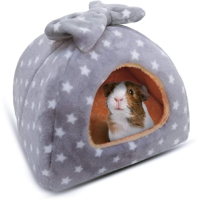 guinea pig bunk bed