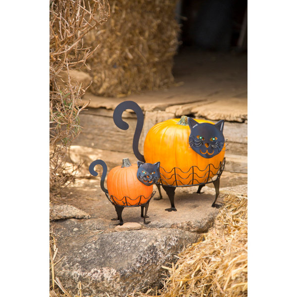 cat pumpkin holder wayfair