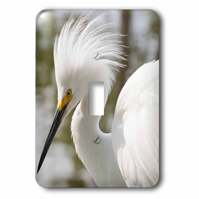 Cute Birds Single Toggle Decorative Light Switch Cover Outlet Switch Plate 
