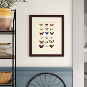 Trademark Art Staircase Montmartre By Philippe Hugonnard Framed Photographic Print Wayfair