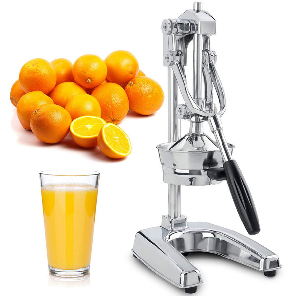 Zulay Kitchen Professional Citrus Juicer & Reviews Wayfair