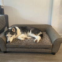 corina dog sofa