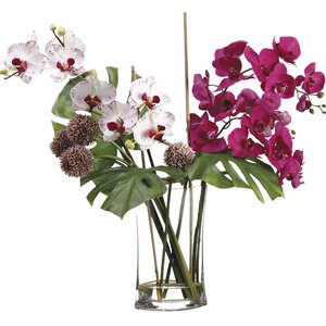 Allium/Phalaenopsis Orchid in Glass Vase
