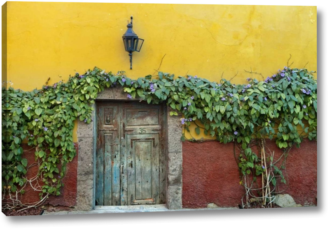 World Menagerie Mexico Doorway To Colorful Building by Don Paulson