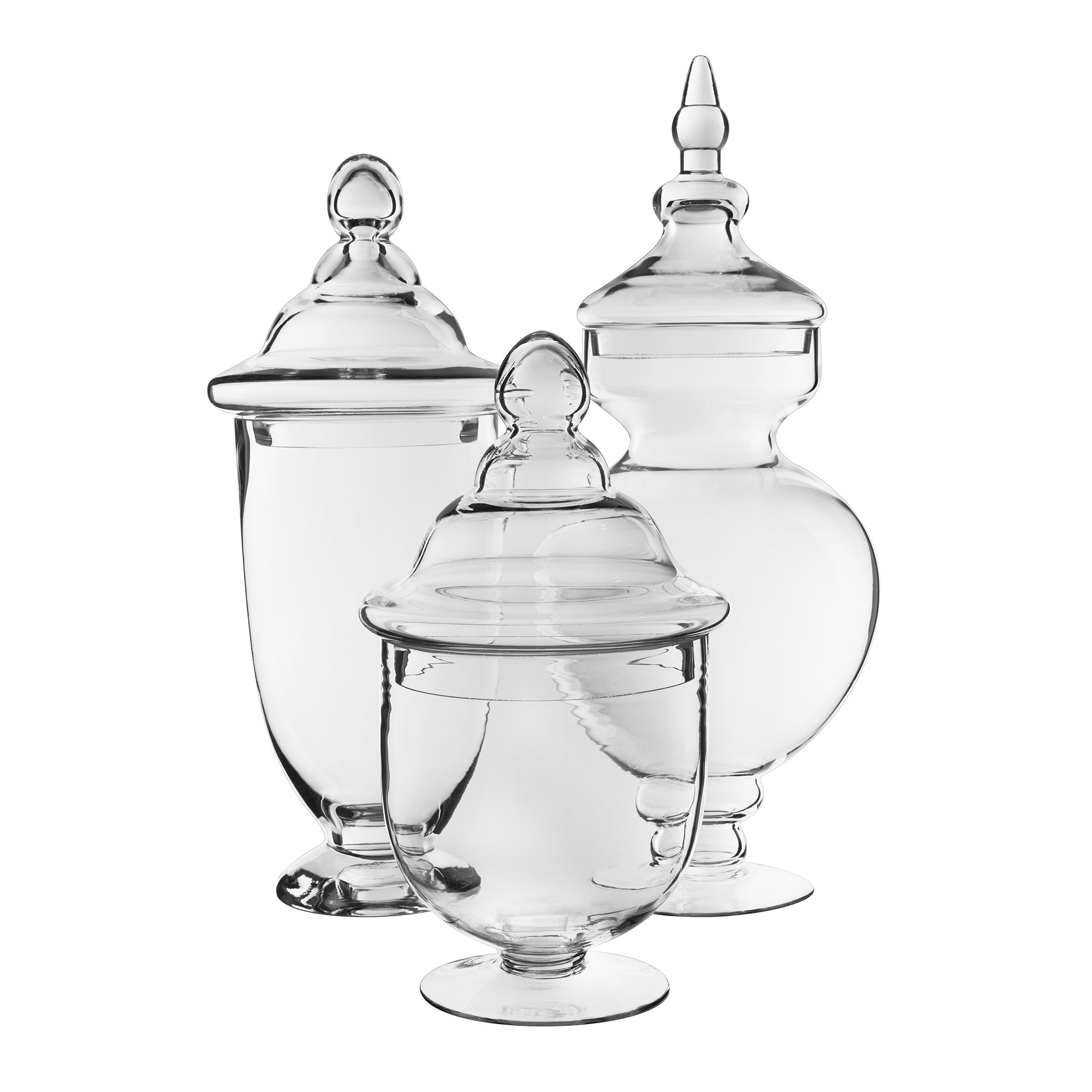 Darby Home Co Glass Apothecary Jar & Reviews Wayfair