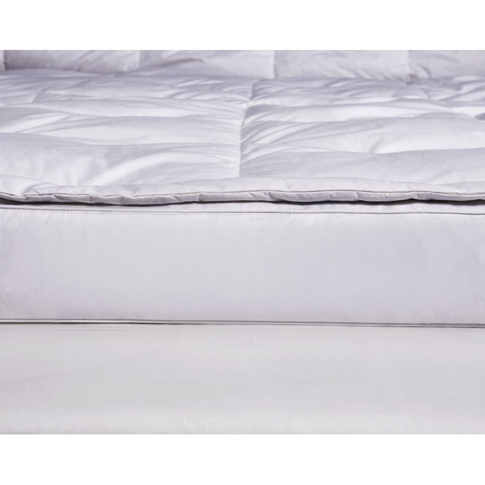 Blue Ridge Home Fashion 233 Thread Count Down Pillow Top