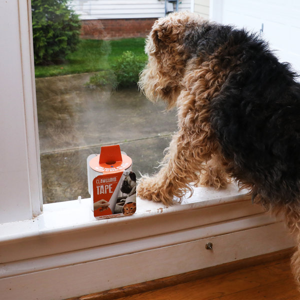 ClawGuard Protection Tape Installation Accessory & Reviews Wayfair