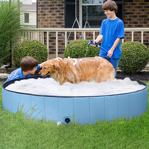 large plastic pool for dogs