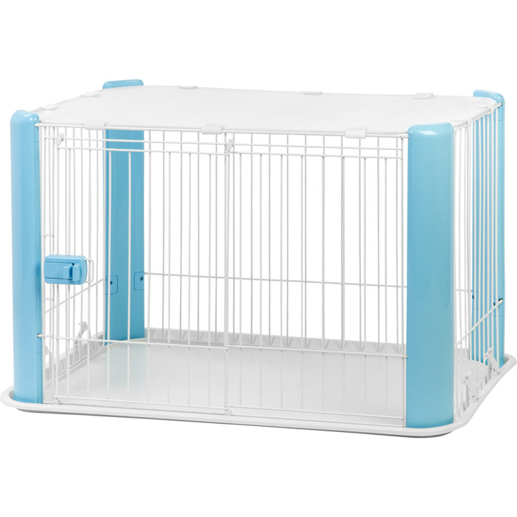 iris dog cage
