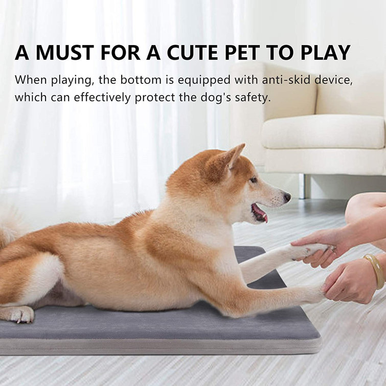 anti dog mat