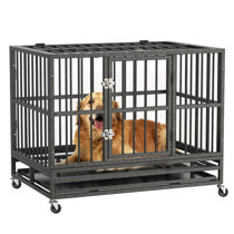 medium dog cage