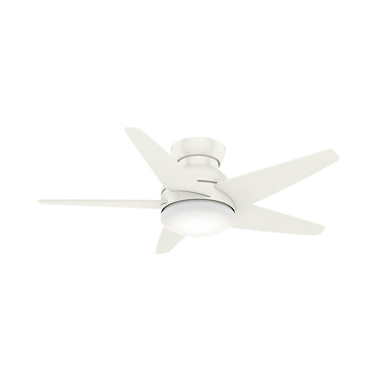 Casablanca Ceiling Fans With Lights       : Amazon Com Hunter Fan Company 59164 Casablanca Stealth Indoor Ceiling Fan With Led Light And Remote Control Brushed Nickle 54 Inch Home Improvement - Casablanca indoor & outdoor ceiling fans.