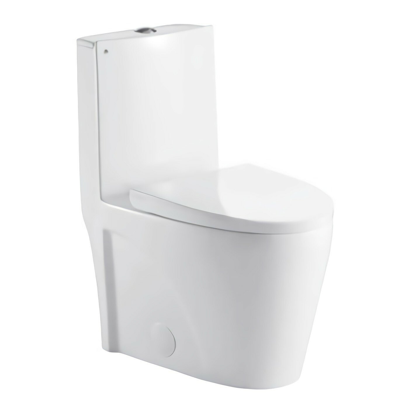 Morenobath Liiso Dual Flush Elongated One-Piece Toilet (Seat Included ...