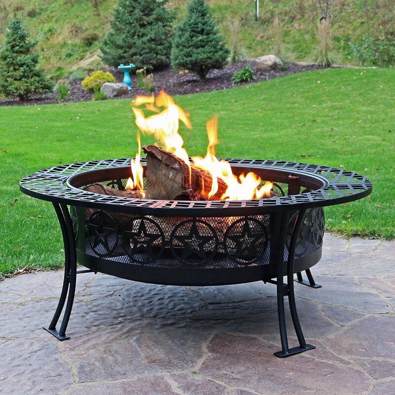 Millwood Pines Kayden Bowl Steel Wood Burning Fire Pit Reviews