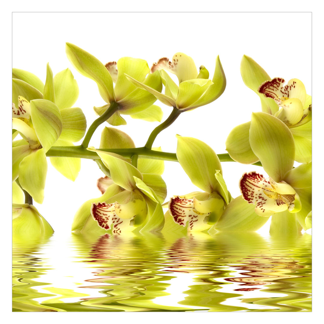Splendid Orchid Waters 1.92m x 1.92m Textured Matte Peel & Stick Wall Mural